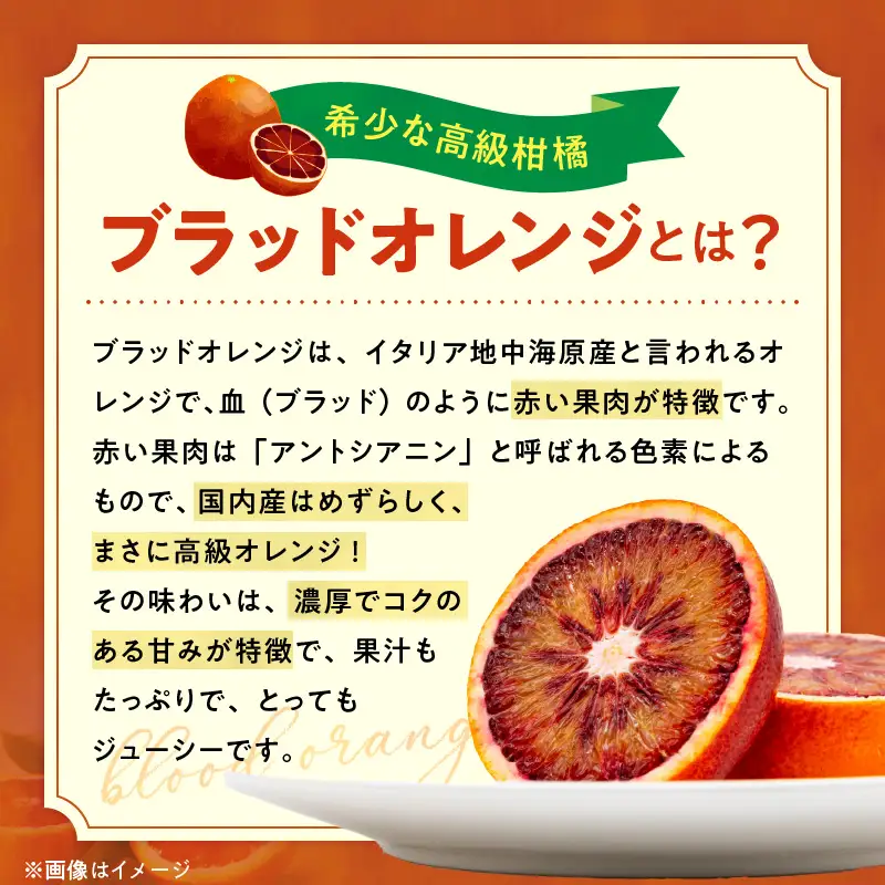 AB7371_Y_【直営限定】《先行予約・2027年3月発送》希少柑橘 ご家庭用 ブラッドオレンジ　サイズ混合/ご家庭用/4kg(傷み補償200g)