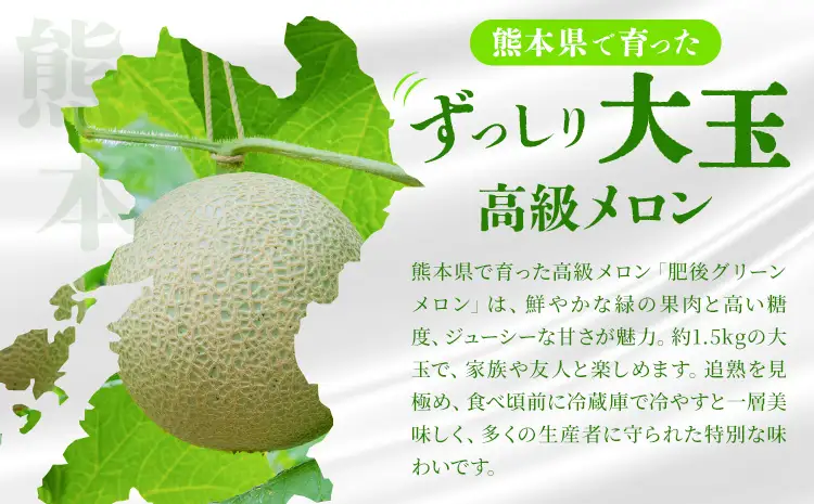 【先行予約】肥後グリーンメロン 1玉 約1.5kg 日本フルーツ株式会社《5月上旬-7月下旬頃出荷》熊本県 菊池市 メロン 熊本県産