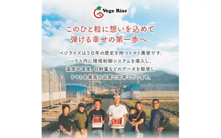ミニトマト 生産量 日本一 玉名市 !！ 「 トマ・ランタン 」 約 4kg |  ミニトマト トマト 熊本県 玉名市