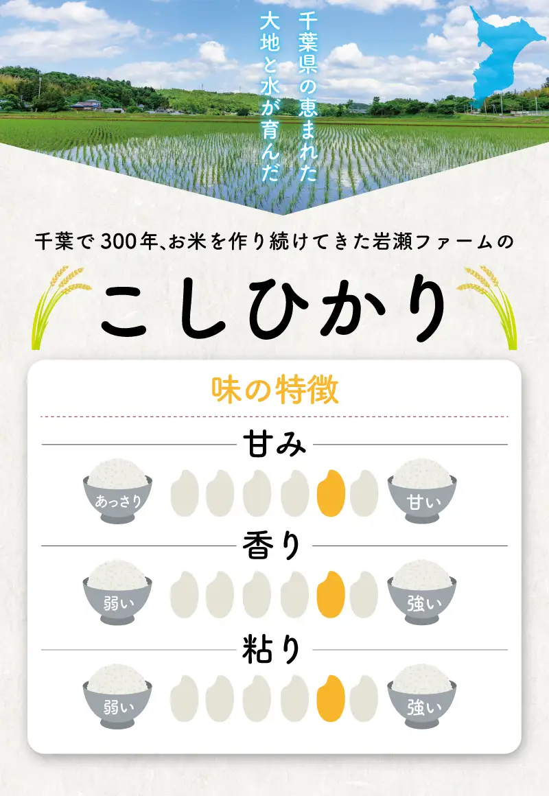 こしひかり 5kg コシヒカリ 8000円 令和7年産 [IWS004]