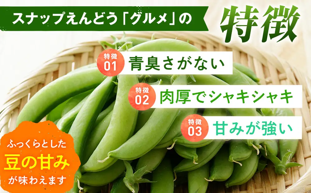 R8年産 スナップえんどう（品種：グルメ） 500g ピンクの八百屋〜ナツやさい〜 | 北海道津別町