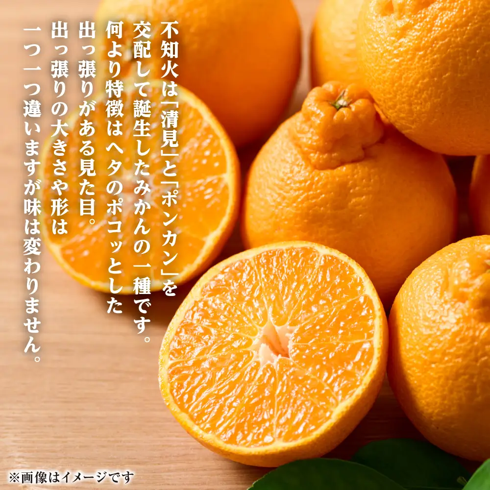 【先行予約】 不知火 約3kg しらぬい 柑橘  【2027年1月中旬より順次発送】