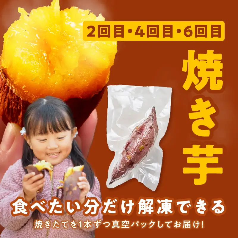 【定期便】干し芋 600g/焼き芋1kg 全6回 交互便