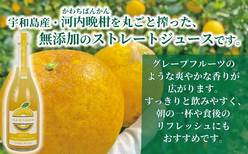 河内晩柑 ジュース 720ml × 4本 セット あかまつみかん ストレートジュース 愛媛 の 柑橘ジュース みかんジュース みかん 蜜柑 mikan フルーツジュース 果汁 100% 飲料 柑橘 ギフト 贈答用 果物 くだもの フルーツ 国産 愛媛 宇和島 H018-203003