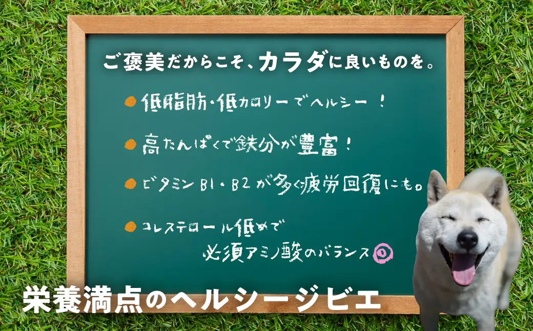ごちそうペットフード イノシシ肩甲骨 3袋 ドライ 3袋（200ｇ以上） ジビエ ボーン 骨 ペット 犬 愛犬 ワンちゃん わんちゃん ごはん ご飯 いのしし イノシシ 猪 低カロリー たんぱく質 健康 ペット用品 エサ えさ おやつ