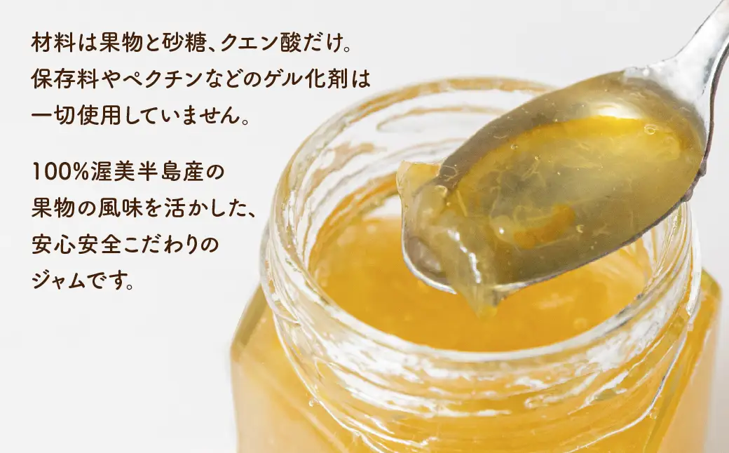 国産 手作りジャム3点セット Aセット いちじく うめ 甘夏 梅  ウメ 無添加 手造り てづくり 手作り ジャム フルーツ 果物