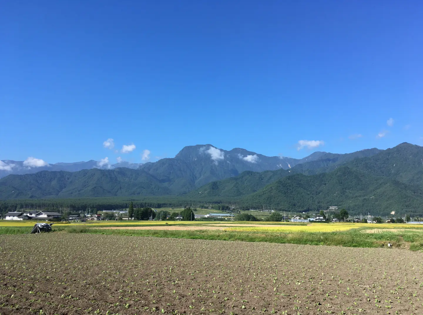 【令和8年産先行予約】『どじょうのいる田んぼのお米』コシヒカリ 玄米 10kg | 馬場農園