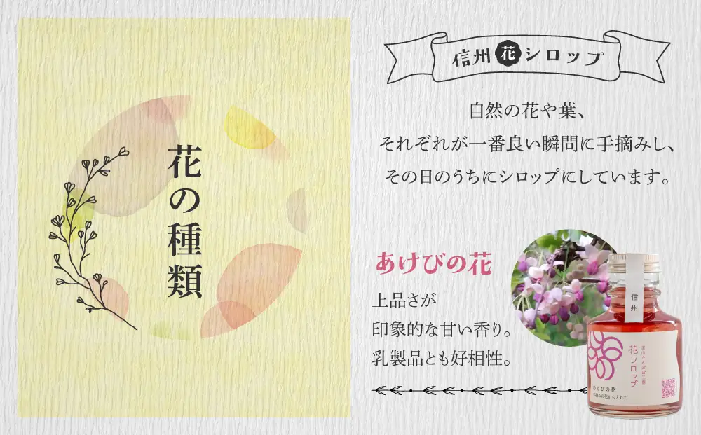 信州の花シロップ　お任せ3種（たんぽぽ、よもぎ、あけびの花、カモミール、野ばらのうち3種）【里山たんぽぽ工房】