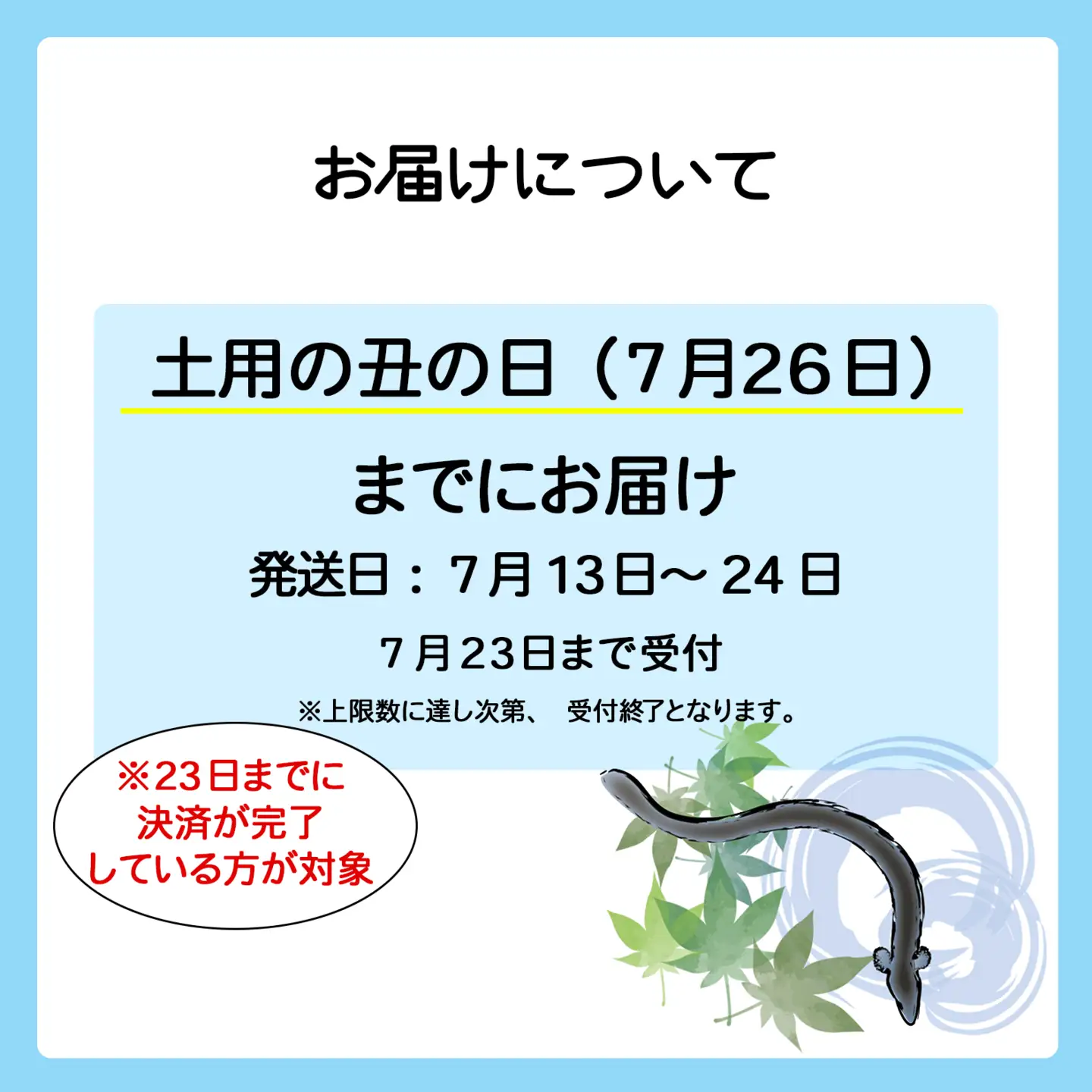 【丑の日までにお届け】 国産 うなぎ 蒲焼き 6尾 計900g以上 K2392