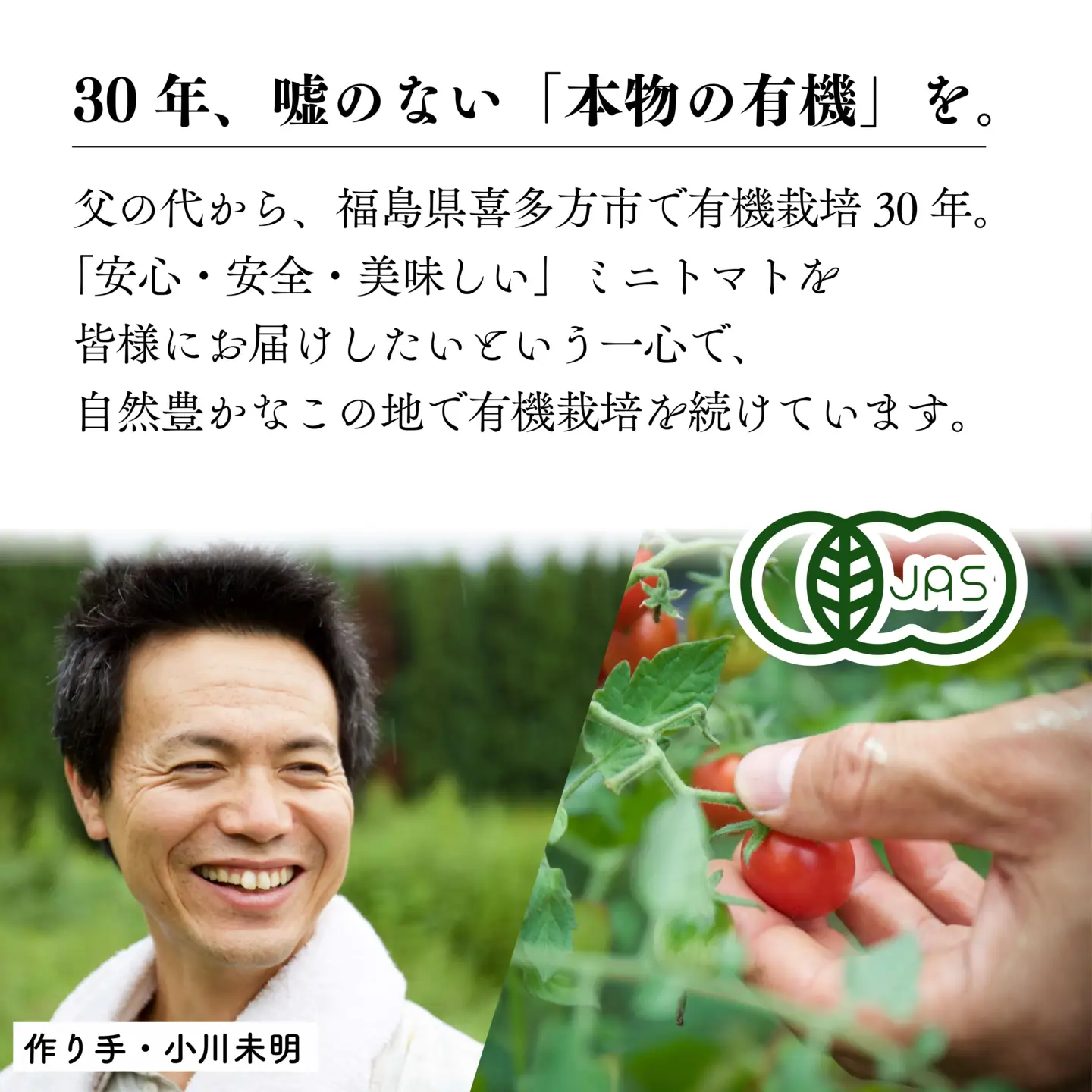 【日本一の栄養価】濃厚！有機ミニトマトの宝石箱1.1kg　【07208-0816】