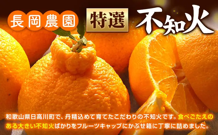 特選 不知火  約5.4kg しらぬい デコポンと同品種 しらぬい