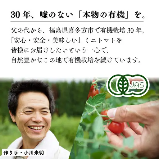 【3か月定期便】【日本一の栄養価】濃厚！有機ミニトマトの宝石箱1.1kg[計3.3kg]　【07208-0819】