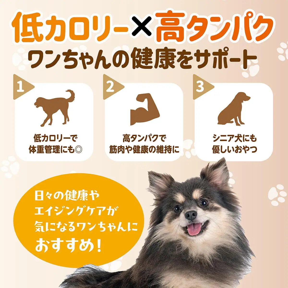 サメ肉ジャーキー（犬用）