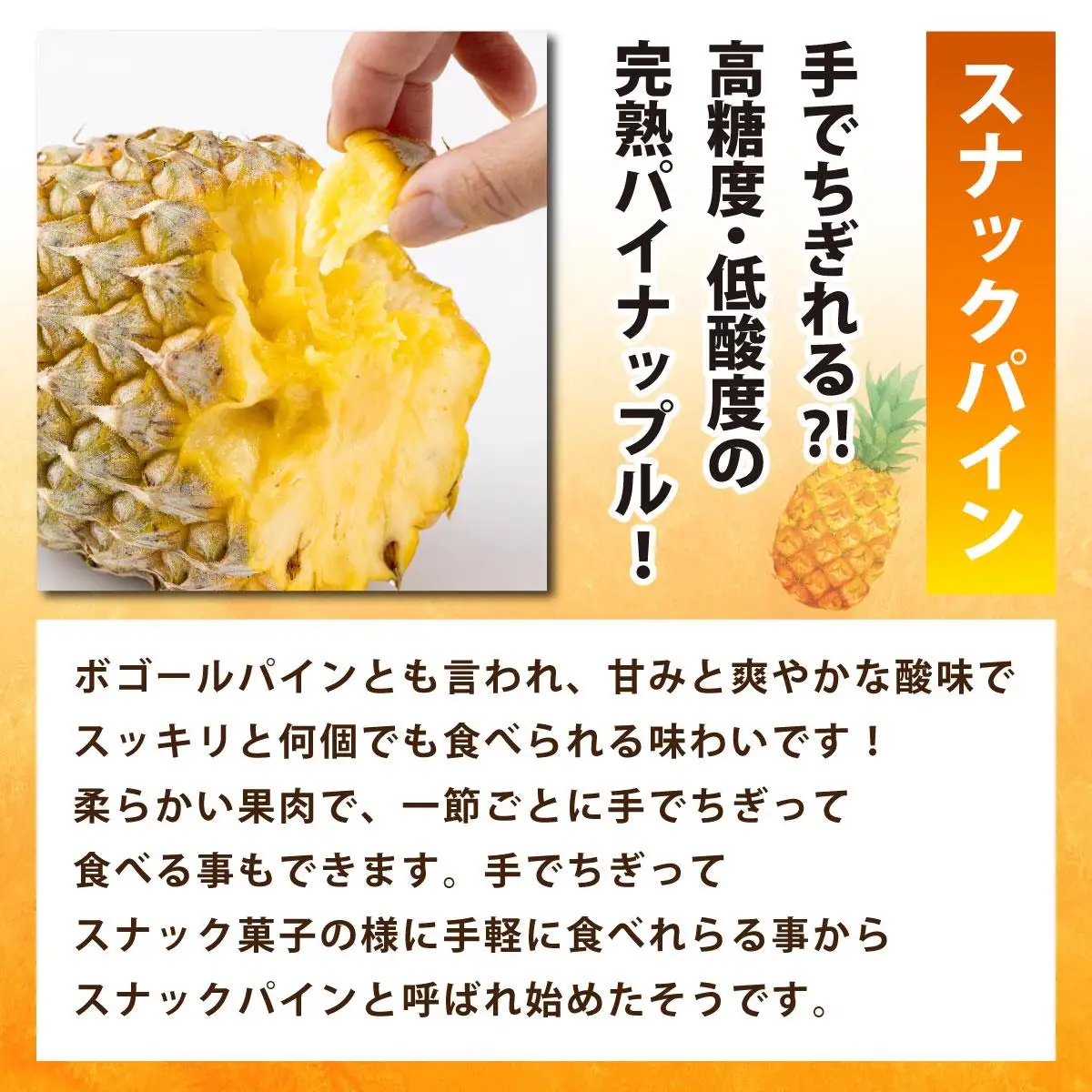 冷凍カットパイン（スナックパイン）100g×6袋 