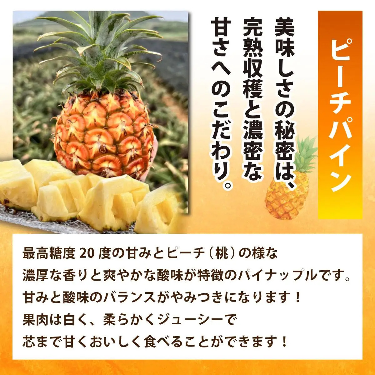 冷凍カットパイン（ピーチパイン）100g×6袋 