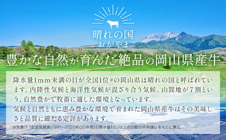【6ヶ月定期便】岡山県産牛 スライス 霜降り 500g×6回 牛肉