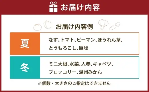 定番の野菜フルーツセット 6品目以上 ／ 旬 詰め合わせ 鮮度 季節 野菜 やさい 果物 くだもの 果実 フルーツ 定番 セット