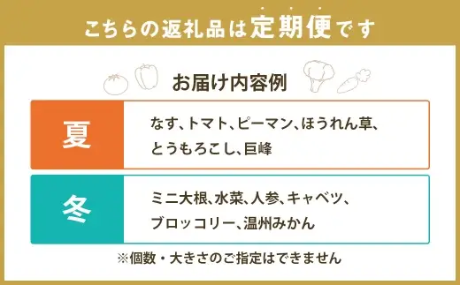 【3回定期便】 定番の野菜フルーツセット 6品目以上 ／ 詰め合わせ 鮮度 野菜 やさい 果物 くだもの 果実 フルーツ 定番 セット 旬 定期便 定期