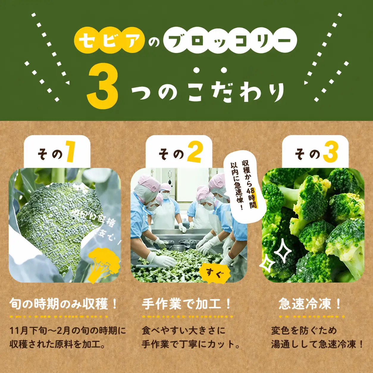 鹿児島県産 冷凍 ブロッコリー (計1.2kg) a0-388