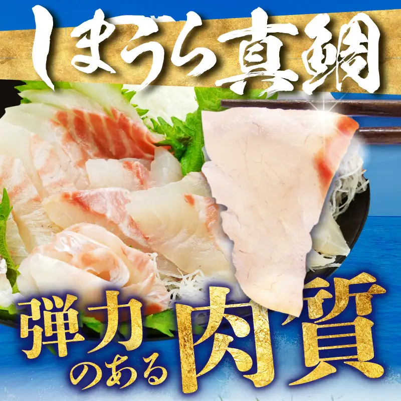 宮崎のおいしいお魚セット