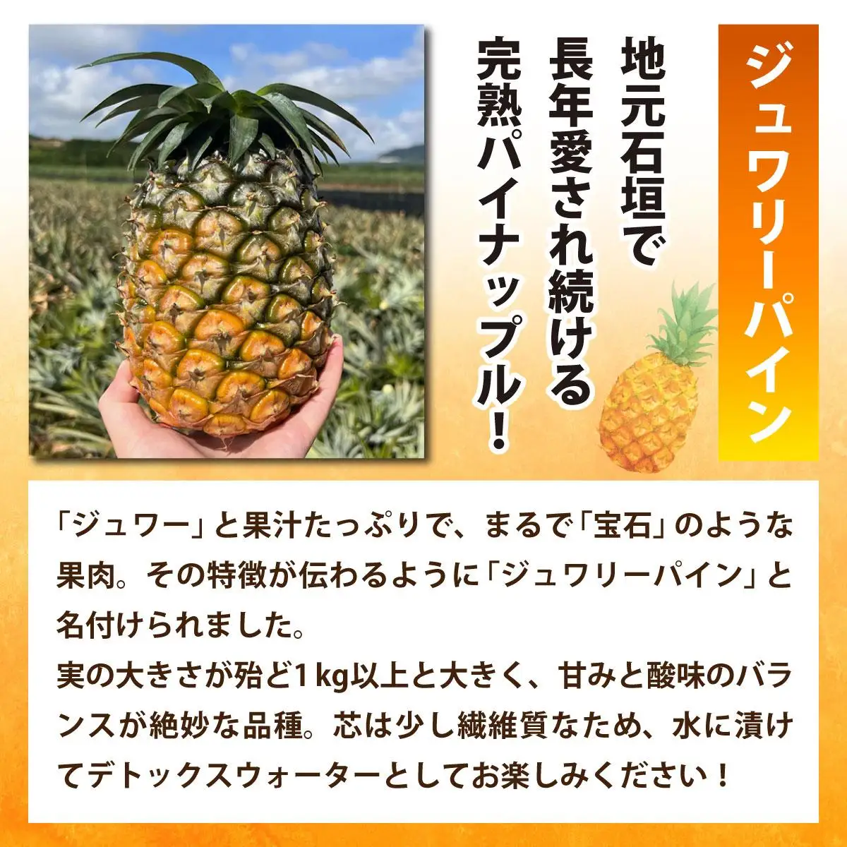 冷凍カットパイン（ジュワリーパイン）100g×6袋 