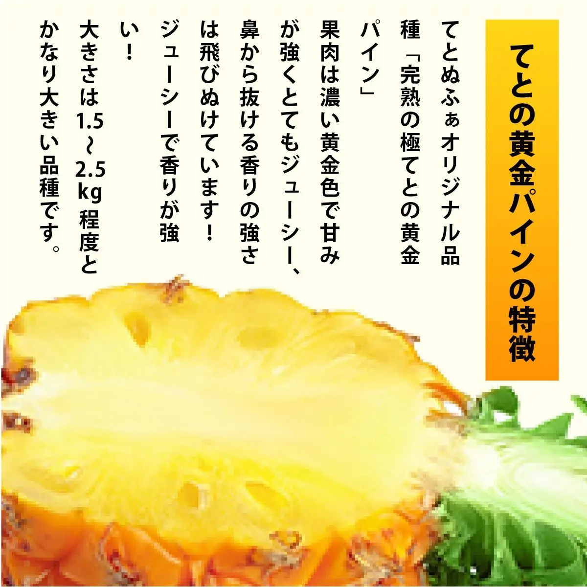 冷凍カットパイン（てとの黄金パイン）100g×6袋