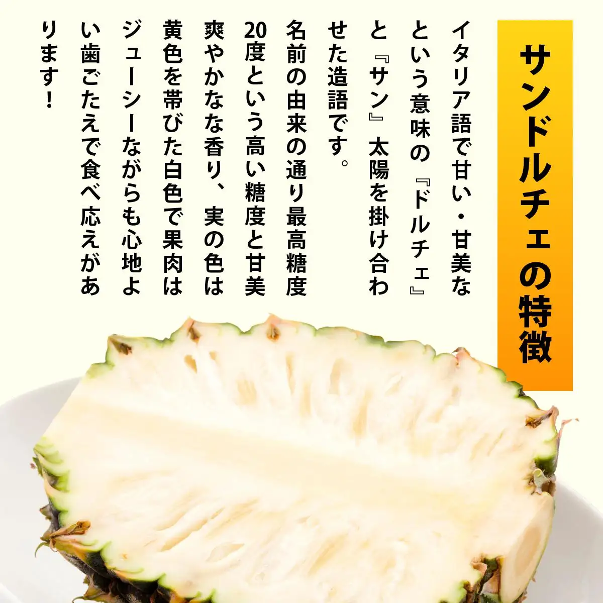 冷凍カットパイン（サンドルチェ）100g×6袋