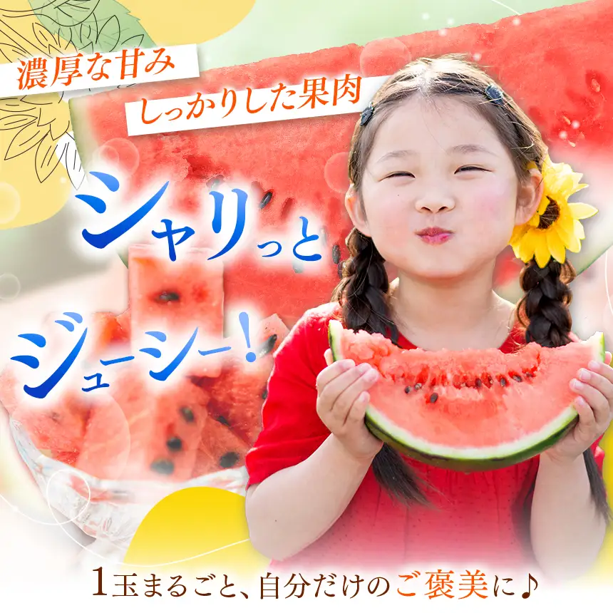 【先行受付】松本市 波田産 小玉すいか ひとりじめBonBonリッチ 5L(3.2㎏～3.9㎏)１玉