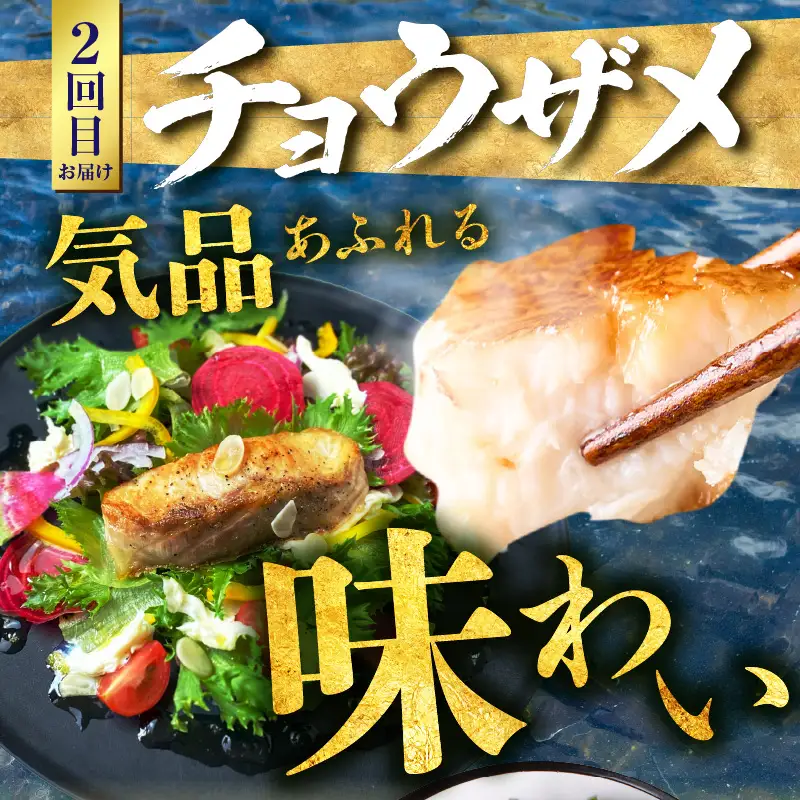 宮崎のおいしいお魚 3ヶ月定期便