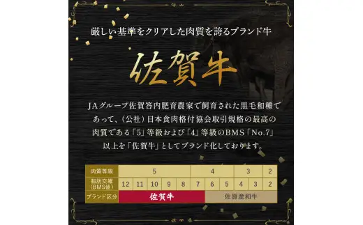 SE1x1 佐賀牛 贅沢！4回定期便【2月・5月・8月・11月発送】佐賀牛 ハンバーグ ローストビーフ サーロイン 佐賀県 太良町