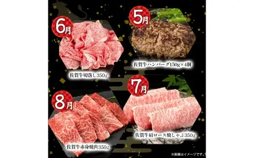  V11x1 佐賀牛 特選！12回定期便 佐賀牛 ブランド牛 国産牛 牛肉 肉 定期便 佐賀県 太良町