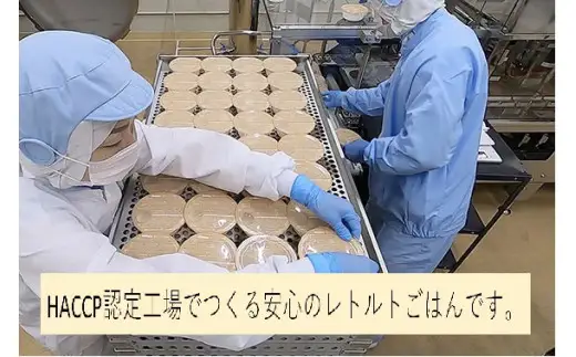 【新米受付・令和8年産米】簡単便利！新之助 パックご飯 150g×10個入り 1039016N お米 米 パックごはん 新潟県 村上市