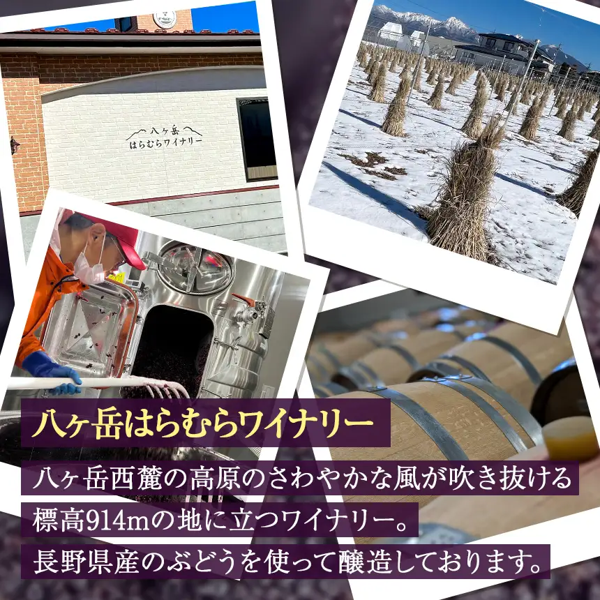 八ヶ岳はらむらワイナリー 飲み比べ 2本セット