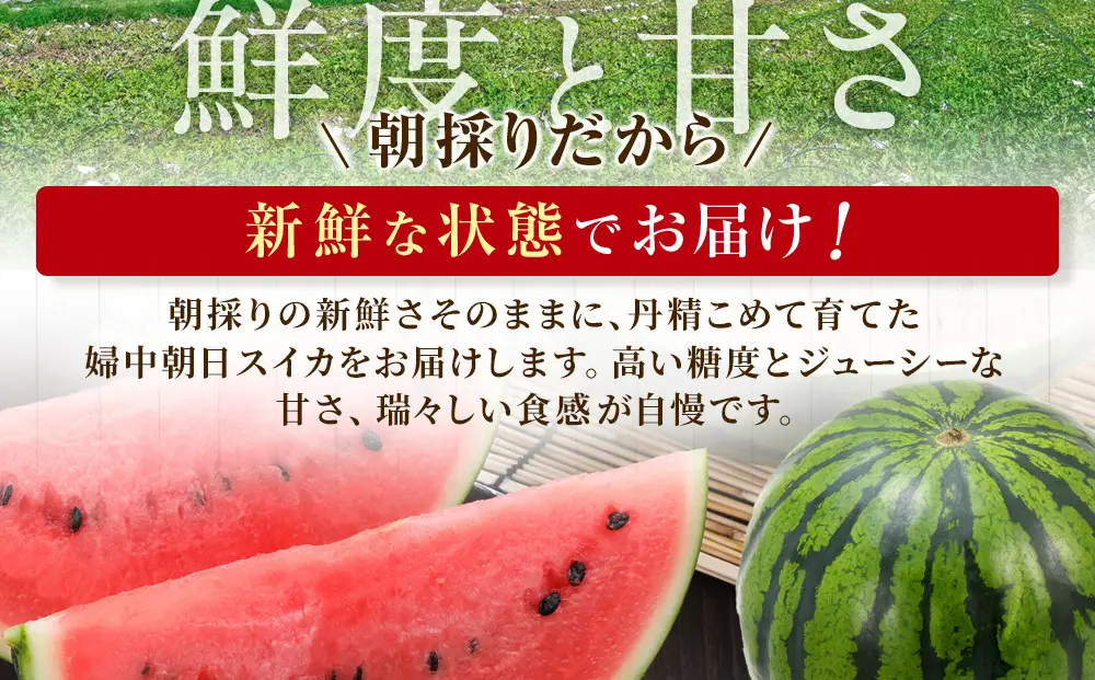 【先行予約】 朝採り！ 富山市婦中町特産「朝日すいか」１玉(約７～８kg)【2026年7月頃〜8月中旬頃まで順次発送】　産地直送 大玉
