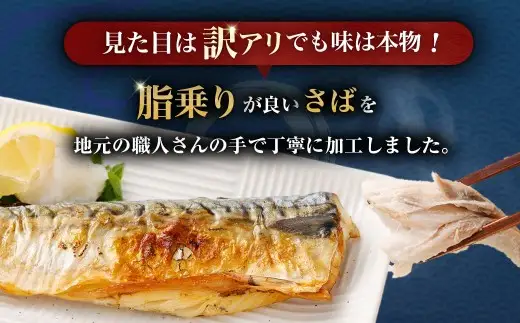 トロ塩サバフィーレ 約3.0kg 約500g×6袋 （A品、B品混合） 鯖 鯖フィレ 訳 さば サバ 冷凍 BS-554
