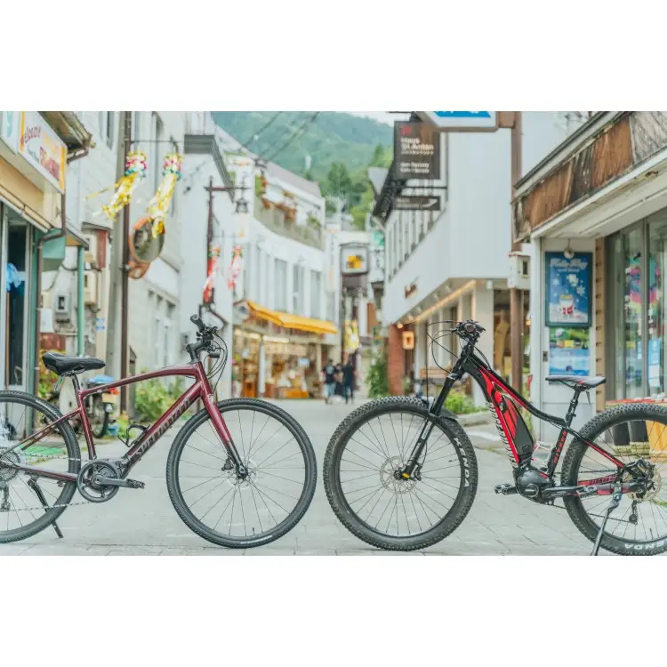 レンタサイクル1日利用 Ｅ-BIKE CROSS BIKE Vedo4.0（ヘルメット/プロテクター込み） EB-2