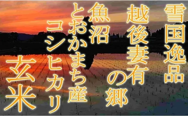 【令和8年産 先行予約】●定期便・玄米●【雪国逸品5kg×12ヶ月】 越後妻有の郷 魚沼十日町産コシヒカリ お米 ご飯 良質 ミネラル 極上 新鮮 香り つや 粘り