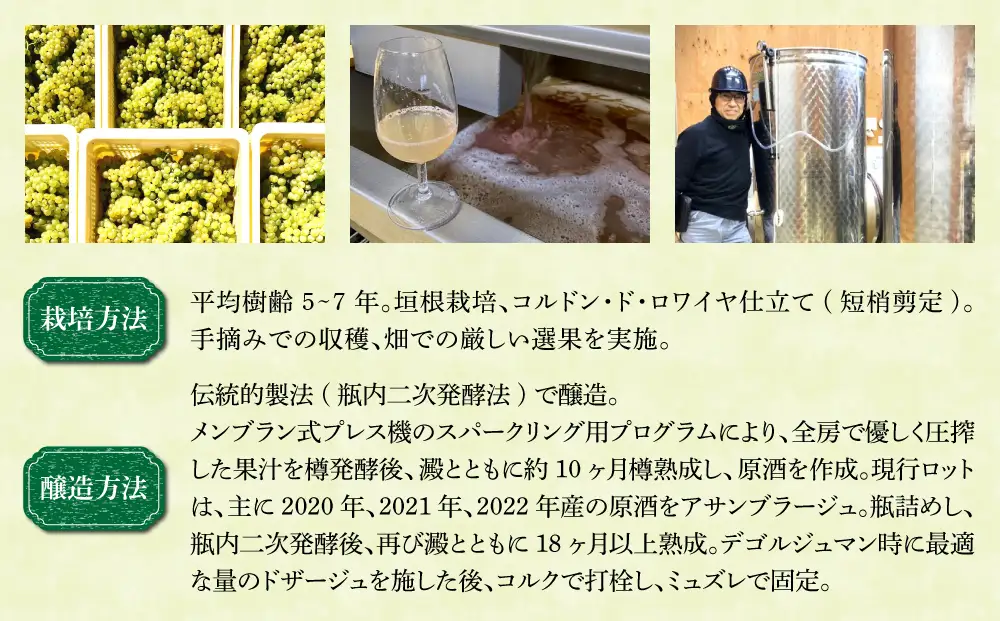 スパークリングワイン「ミノワ レ・クリュ・ブリュット」 1 本| 国産 長野県 長野ワイン とうみワイン【ぼんじゅーる農園醸造所】