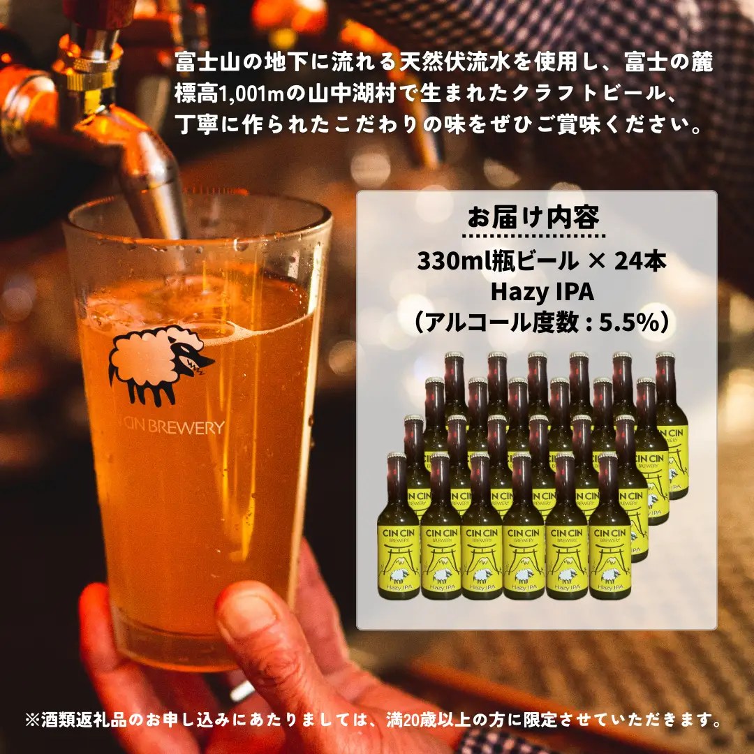 【24本セット】DRY Hazy IPA / Hazy IPA 瓶330ml　YBC005