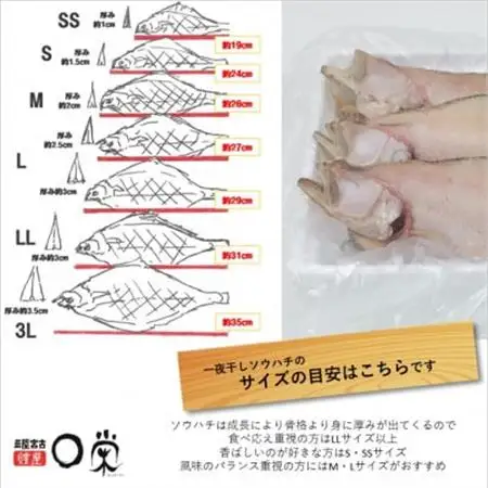 【訳あり】一夜干しかれい 宗八 SSサイズ16尾【配送不可地域：離島】【1724572】