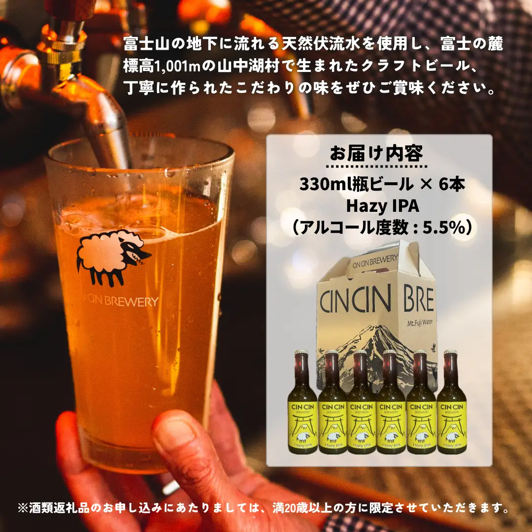 【6本セット】DRY Hazy IPA / Hazy IPA 瓶330ml　YBC006