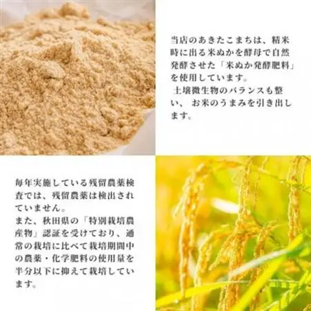 あきたこまち20kg　秋田県産特別栽培米　5kg×4袋　大潟村のお米【令和7年産】精米【配送不可地域：離島・沖縄県】【1726003】