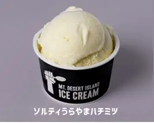 MDI 信州クラフトアイスクリーム６個セット