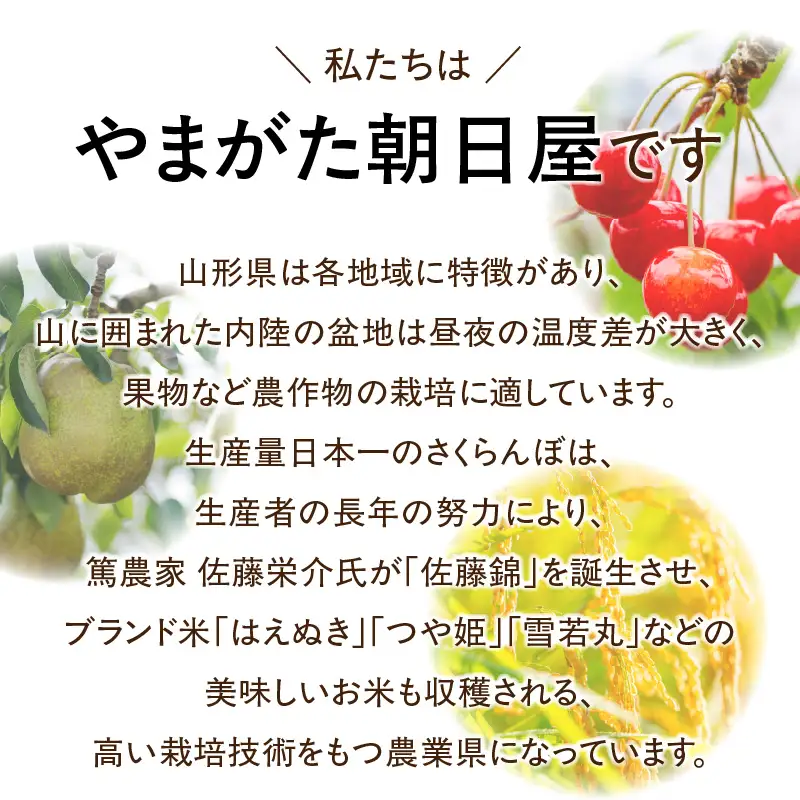 やまがた朝日屋 やまがた冬のフルーツ定期便【全3回】 065-T03