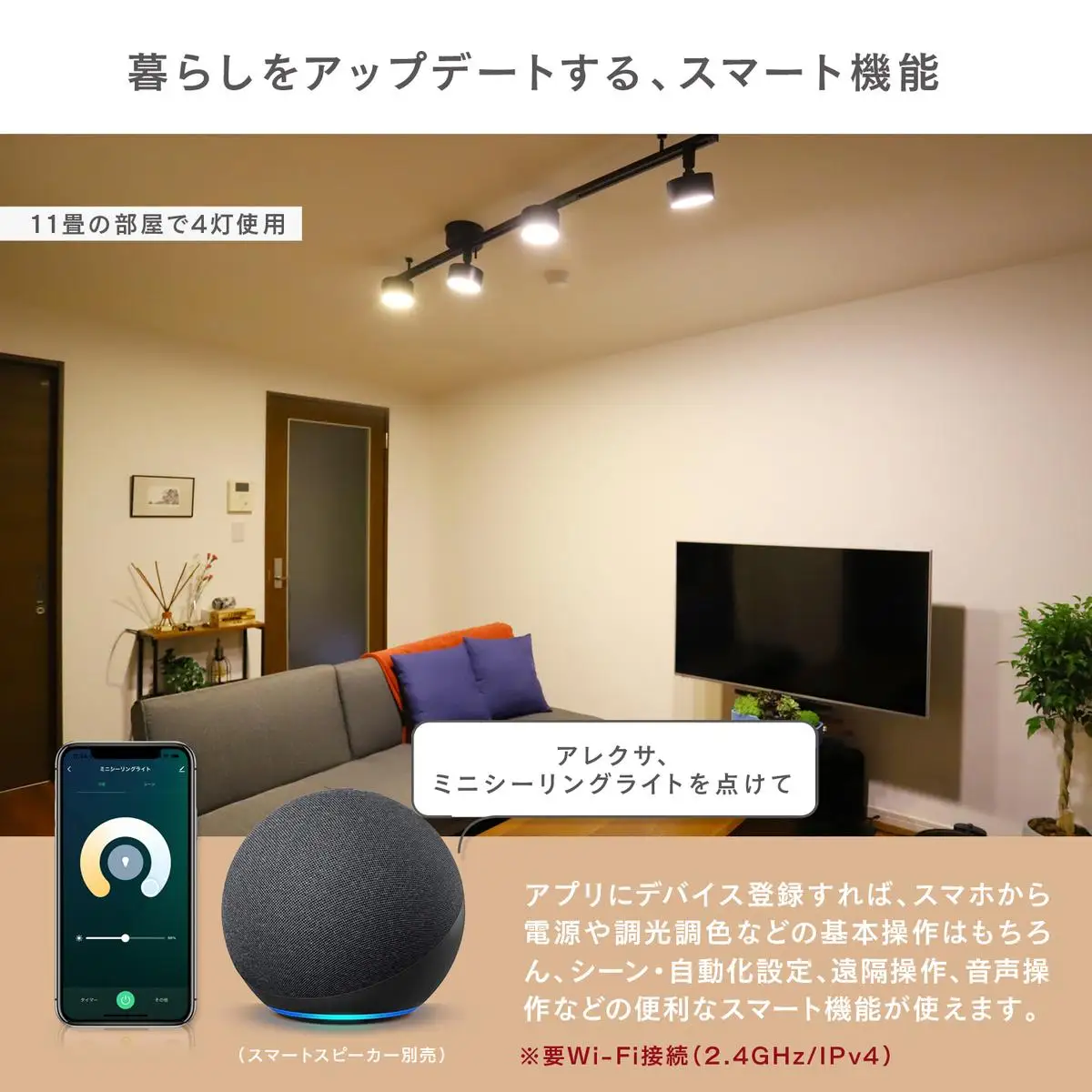 エジソンスマート ミニシーリングライト アーム付き(ダクトレール用) 福岡市 ブラック