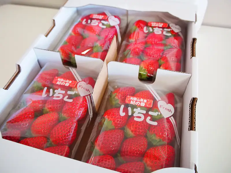 【来シーズン先行予約】紀州和歌山ブランドいちご「紀の香」約250g×4P※2027年1月～2027年3月頃順次発送（お届け日指定不可）【uot868】