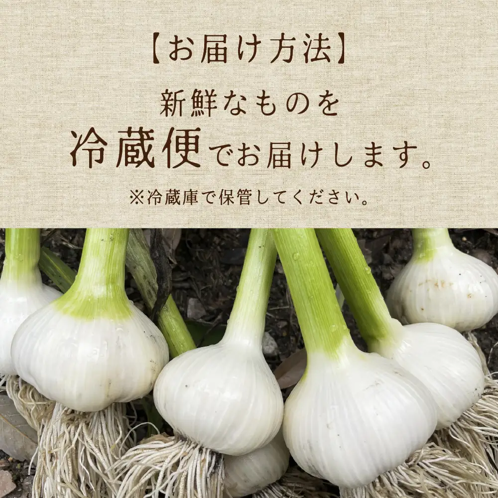 飛騨産生にんにく 300g 水村農園 にんにく