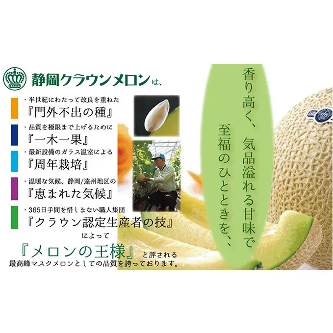 【6ヶ月定期便】クラウンメロン（山等級）1玉入 