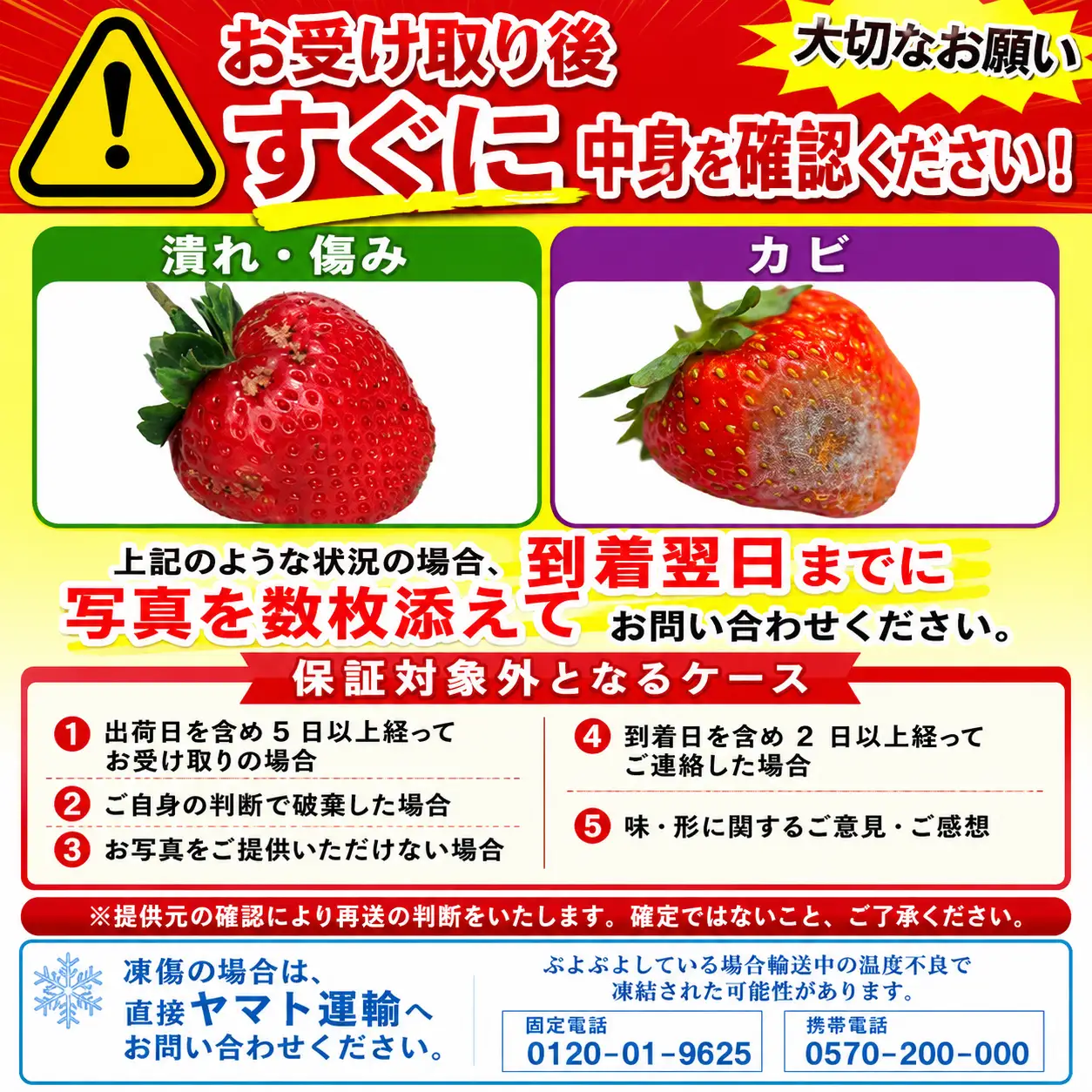 【2027年2月上旬‐3月上旬発送】先行予約 福岡県産 いちご あまおう  約250g×6P (約1500g) ｜苺 イチゴ KBY
