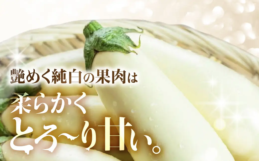 《先行予約》とげなし輝楽×とろ～り旨なす 食べ比べセット 各4本 計8本 茄子 なす 白茄子 白なす 白ナス ナス 旨い 甘い 艶 ツヤ ハリ 揚げ物 揚げ茄子 焼茄子 麻婆茄子 輝楽 愛知県 豊橋市
